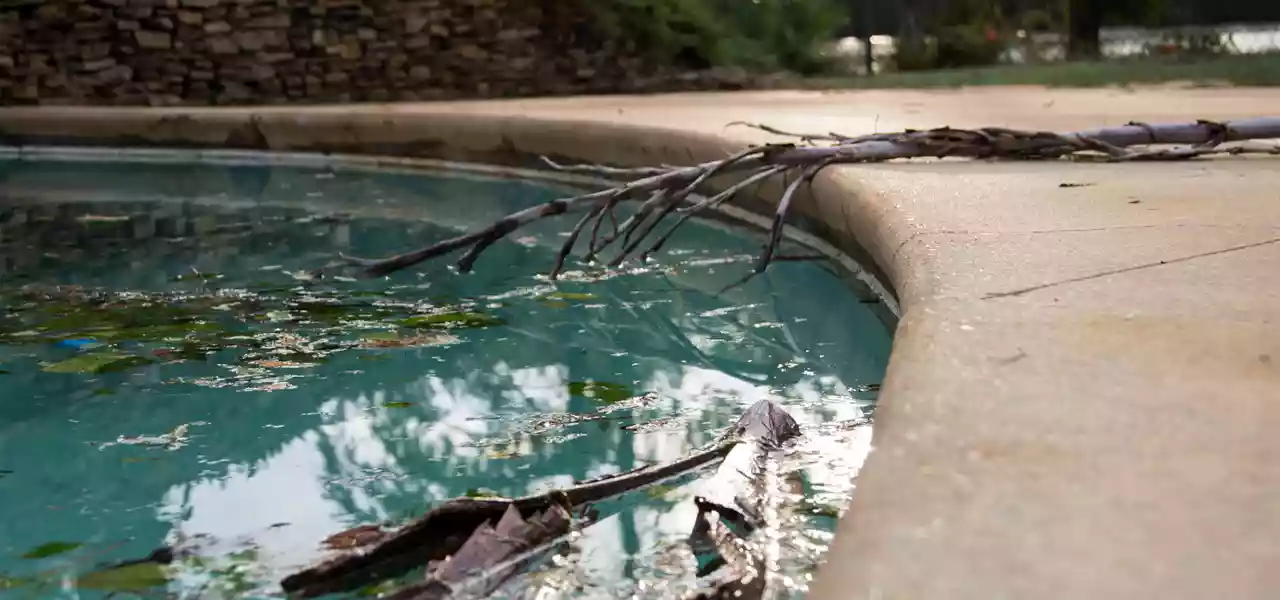 A backyard swimming pool with storm debris and leaves on the surface