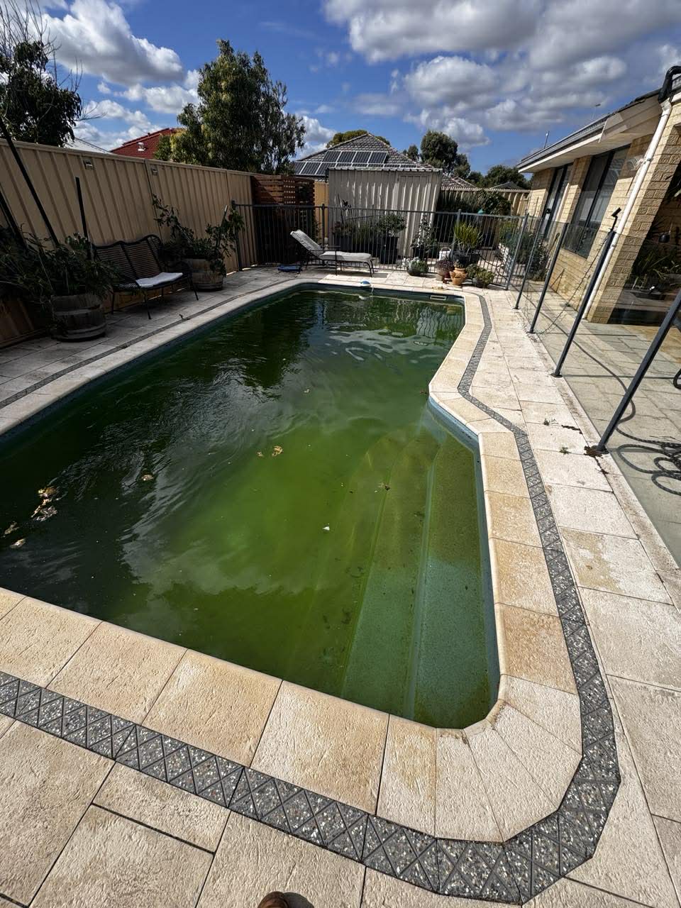 A green algae-affected backyard swimming pool before cleaning