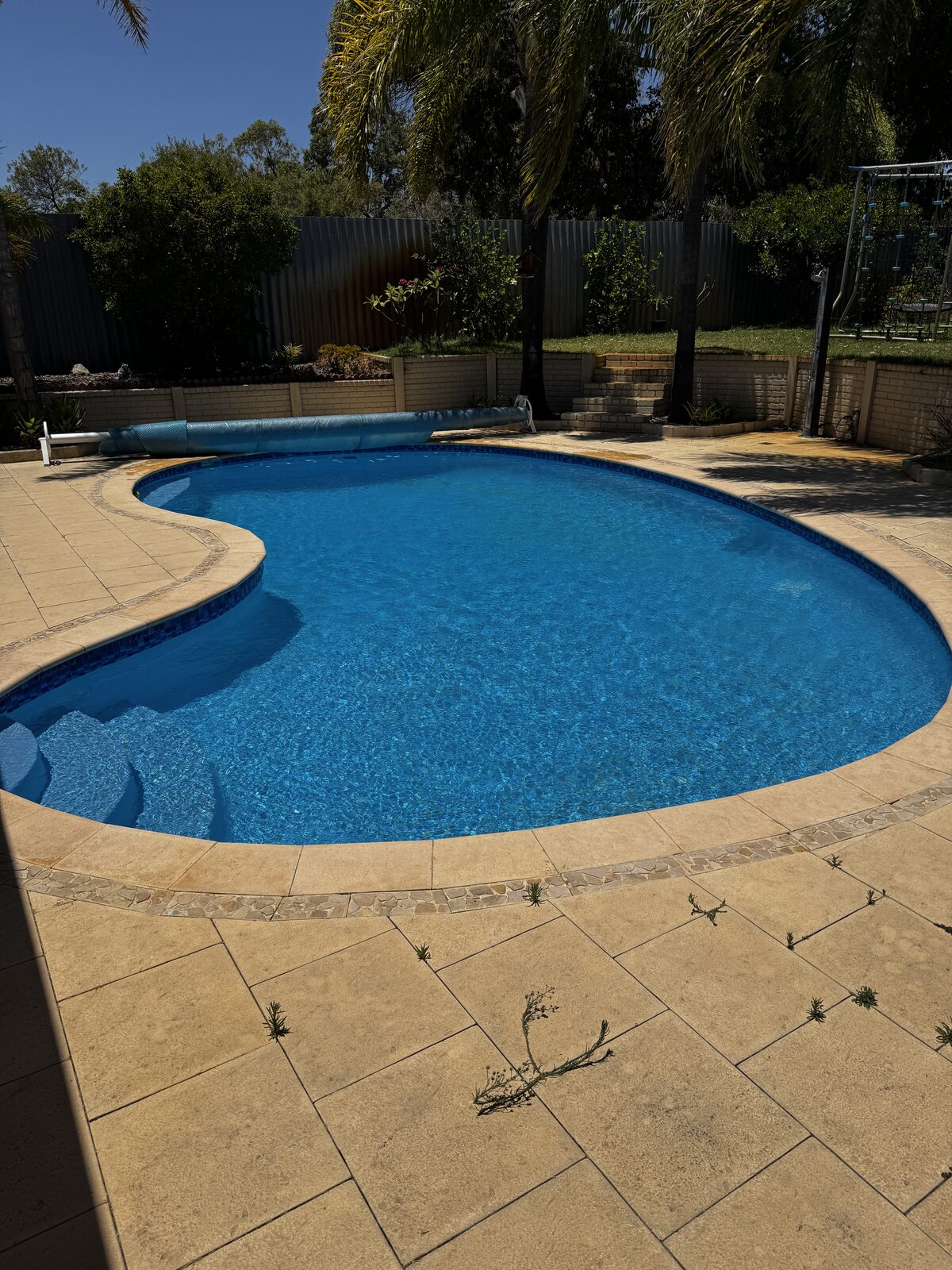 A clear blue residential swimming pool in a landscaped backyard