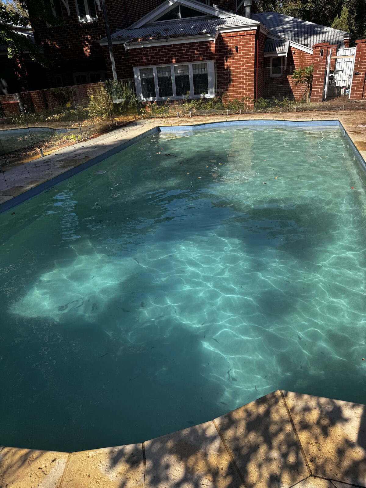 A clean, clear backyard swimming pool on a sunny spring day